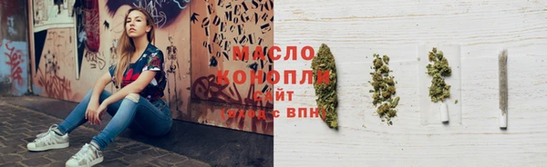индика Бронницы