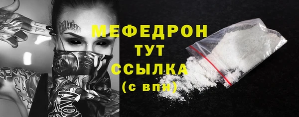 индика Бронницы