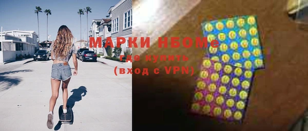 прущий лед Бородино