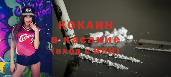 индика Бронницы