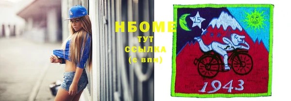 индика Бронницы