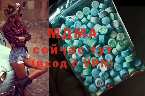 индика Бронницы