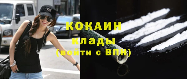 прущий лед Бородино