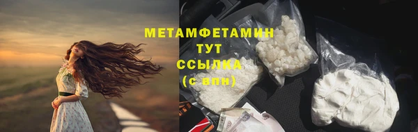 индика Бронницы