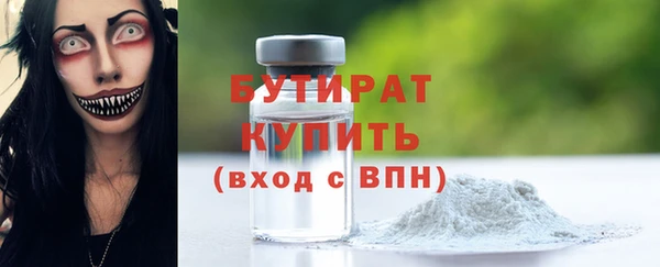 индика Бронницы