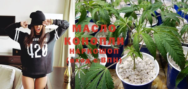 индика Бронницы