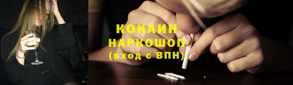 индика Бронницы