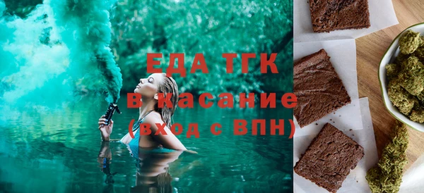 индика Бронницы