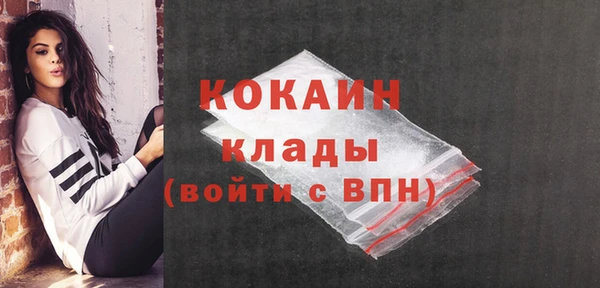 индика Бронницы