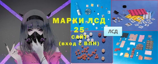 прущий лед Бородино