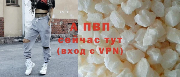 индика Бронницы