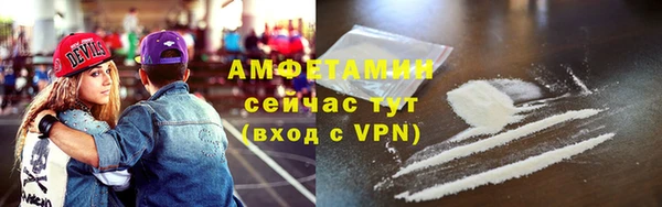индика Бронницы